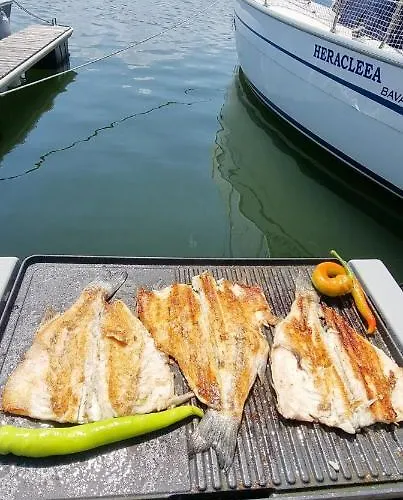 Thea - Magic Point Mangalya